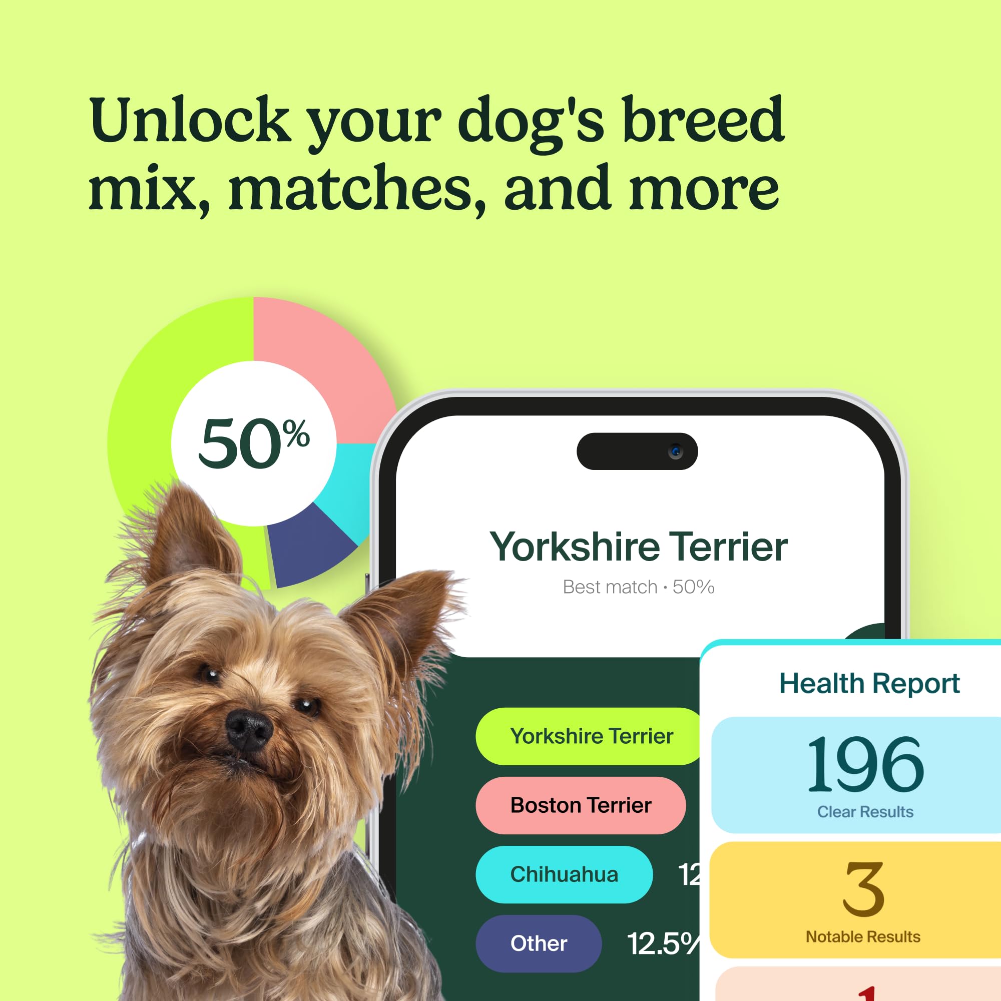 AncestryDNA Dog DNA Test – Breed Identification, Health & Trait Insights