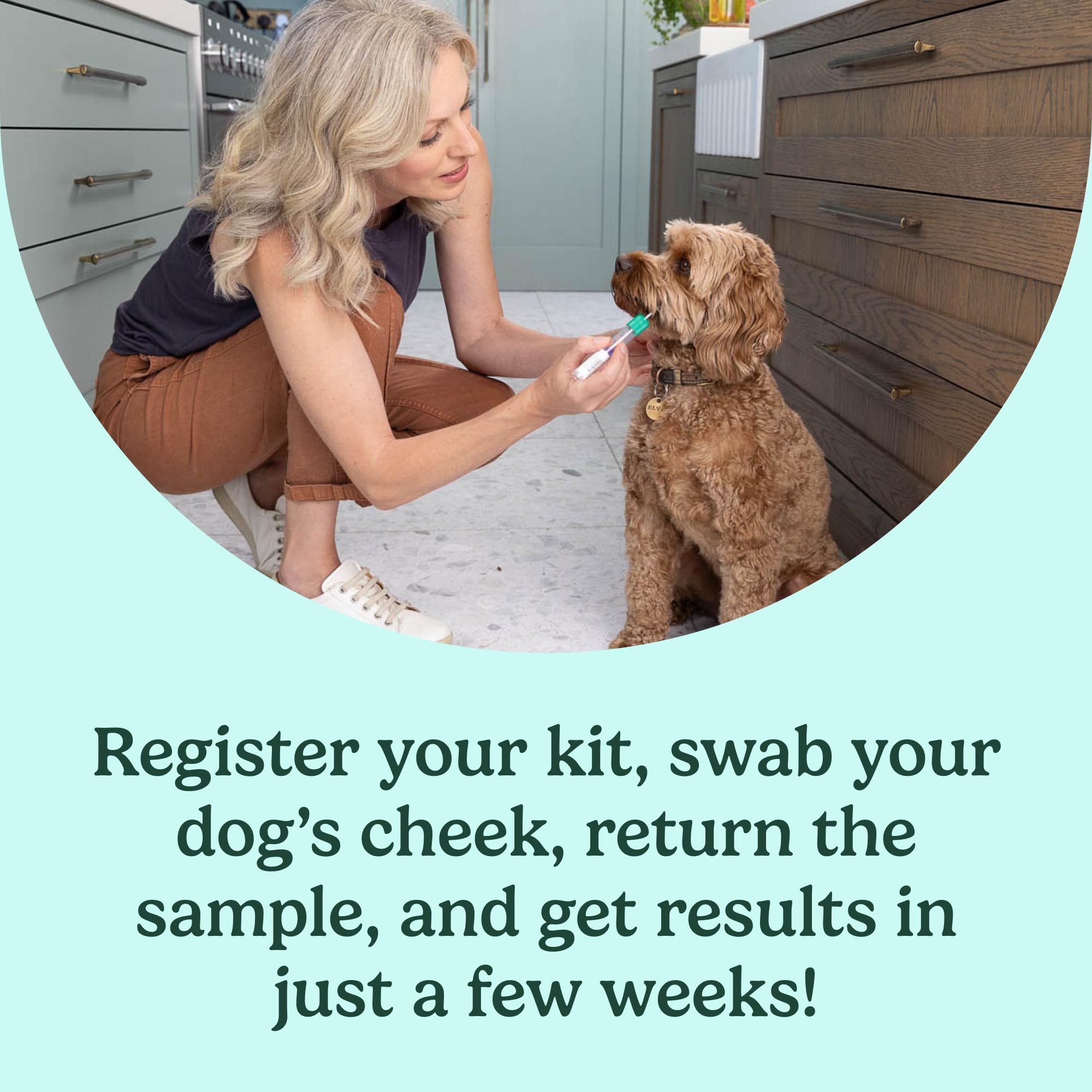 AncestryDNA Dog DNA Test – Breed Identification, Health & Trait Insights