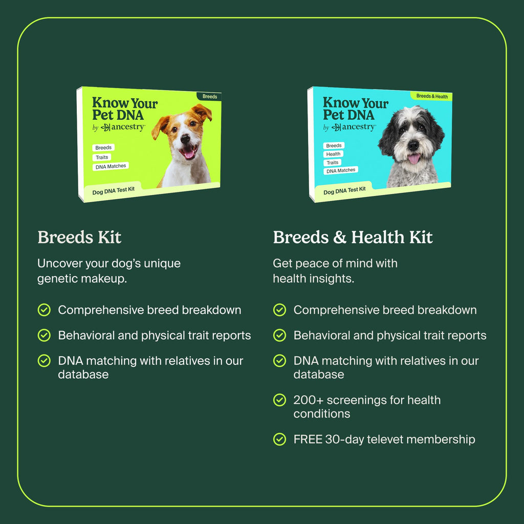 AncestryDNA Dog DNA Test – Breed Identification, Health & Trait Insights