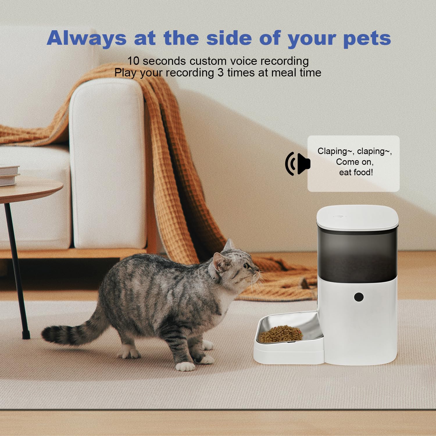 ANDOLL HOME 2.4G WiFi Automatic Cat Feeder — 4L, 10 Meals/Day, Voice Recorder