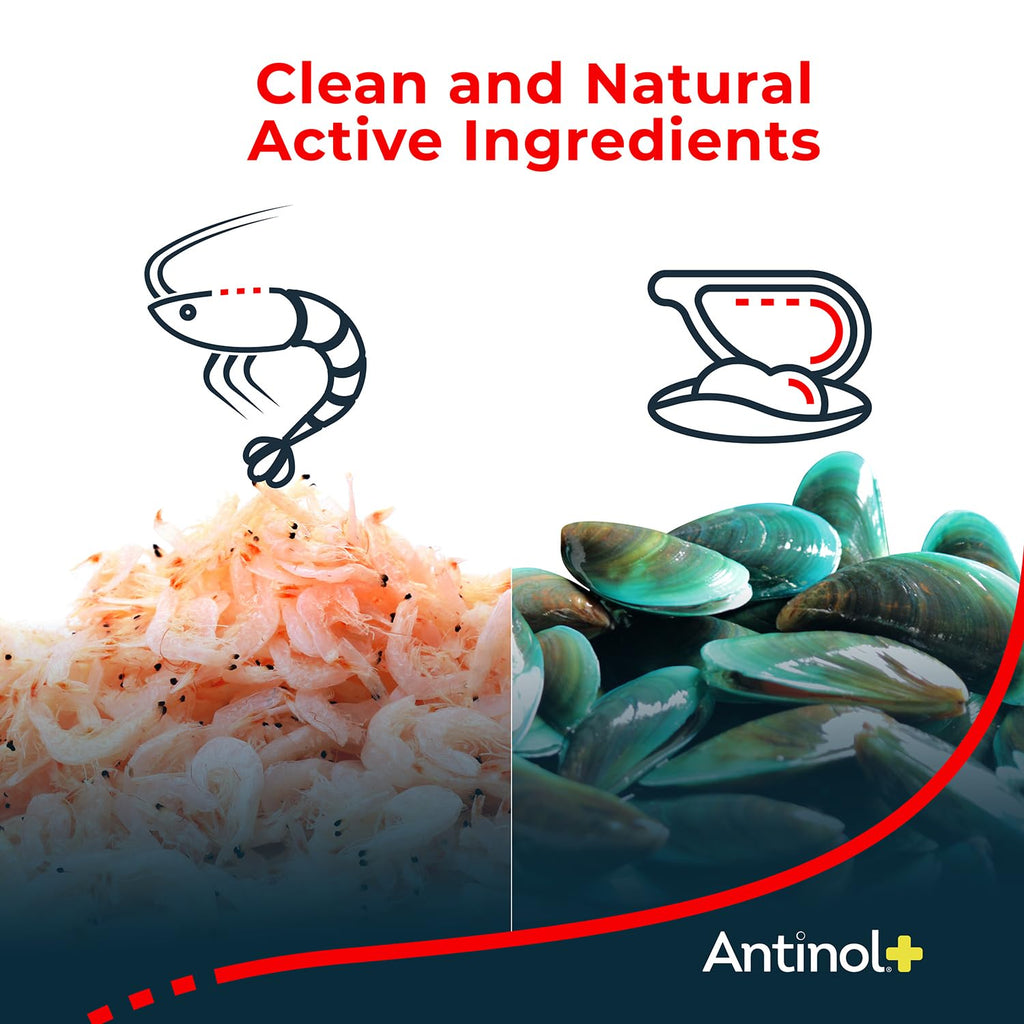 Antinol Plus Joint Support for Dogs | Green-Lipped Mussel & Krill Oil