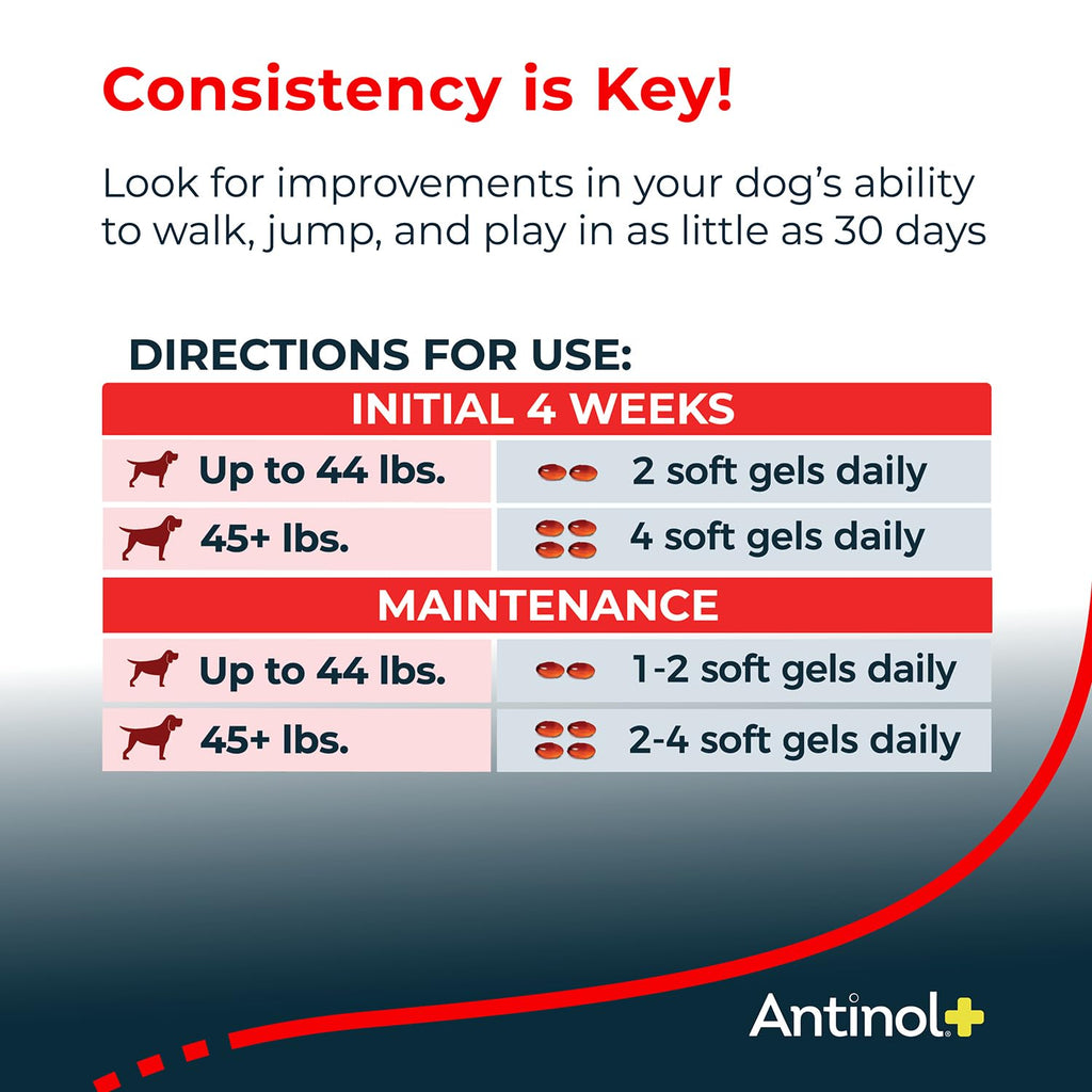 Antinol Plus Joint Support for Dogs | Green-Lipped Mussel & Krill Oil