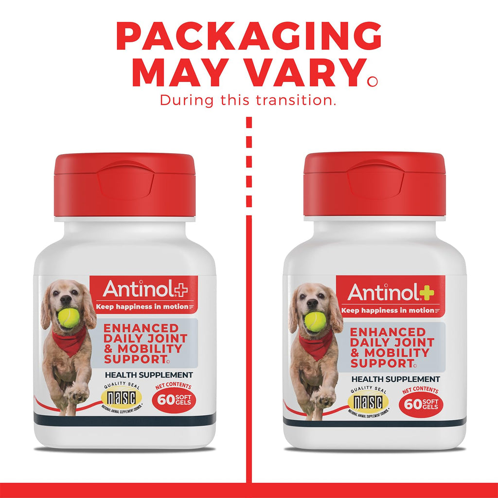 Antinol Plus Joint Support for Dogs | Green-Lipped Mussel & Krill Oil