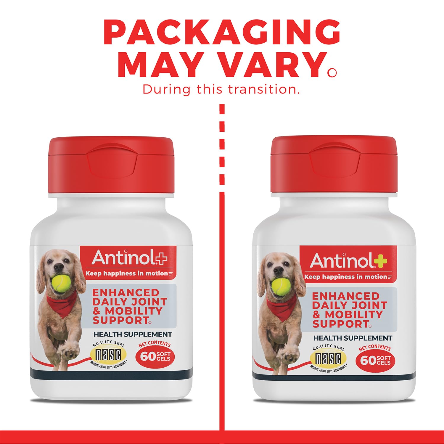 Antinol Plus Joint Support for Dogs | Green-Lipped Mussel & Krill Oil