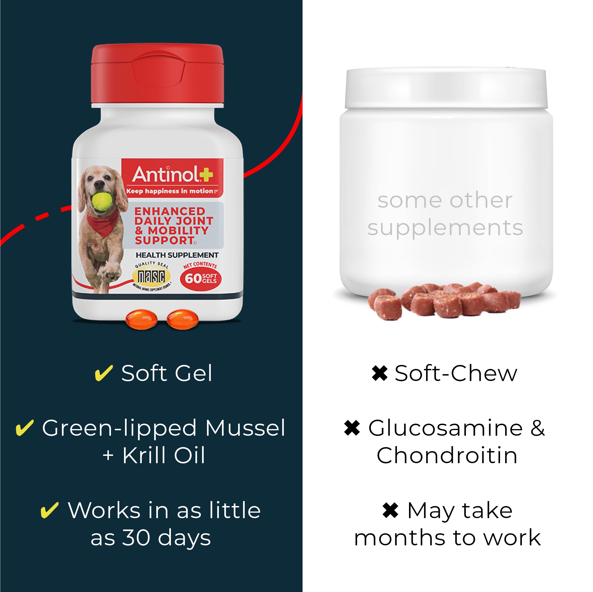 Antinol Plus Joint Support for Dogs | Green-Lipped Mussel & Krill Oil