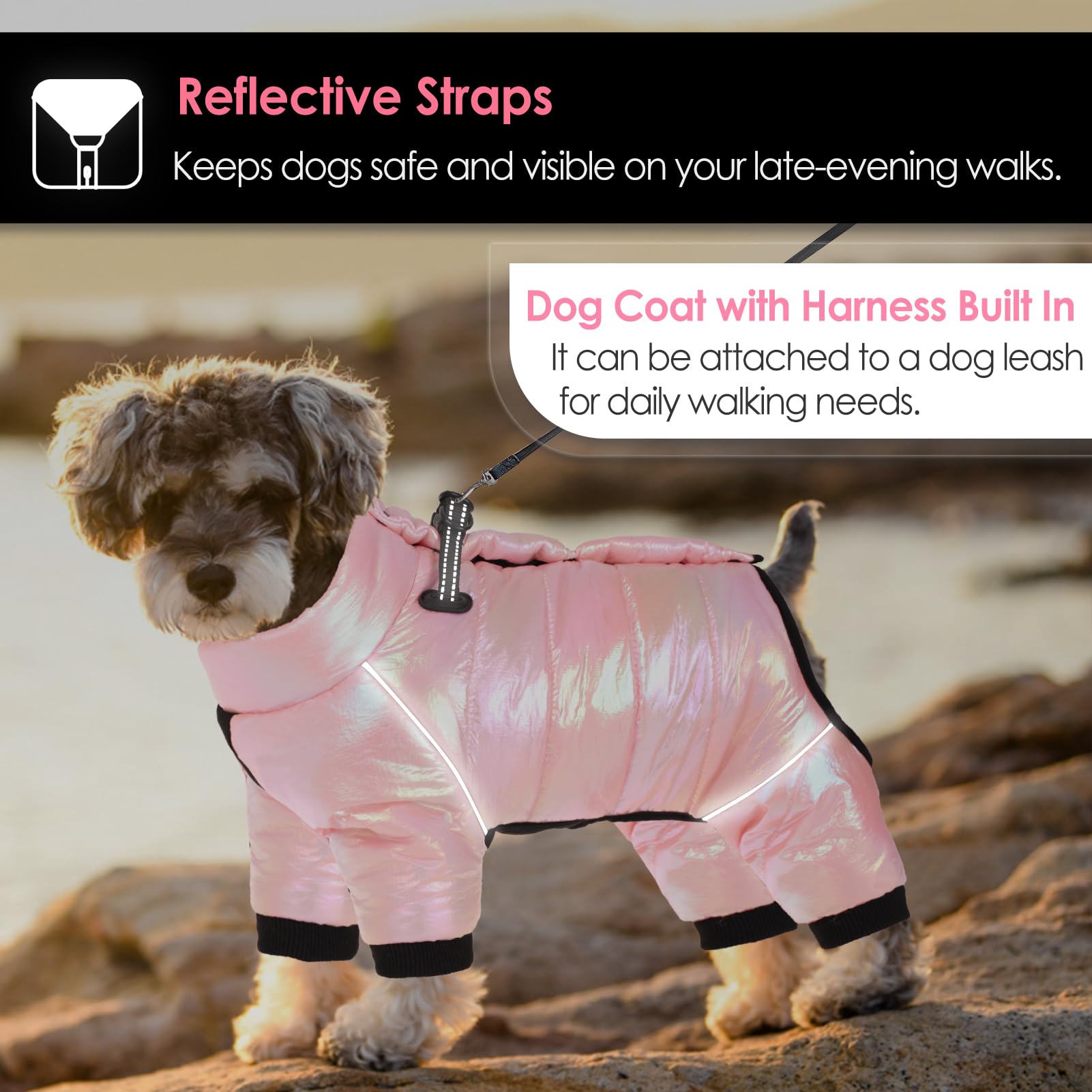 AOFITEE Dog Coat – Waterproof Winter Puffer Jacket for Small Dogs