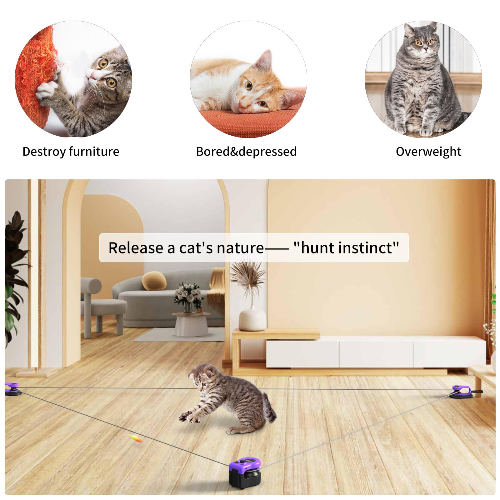 AsFrost Upgraded Interactive Cat Toy — Auto/Manual Mode, Feather Mouse, Indoor Exercise