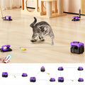 AsFrost Upgraded Interactive Cat Toy — Auto/Manual Mode, Feather Mouse, Indoor Exercise