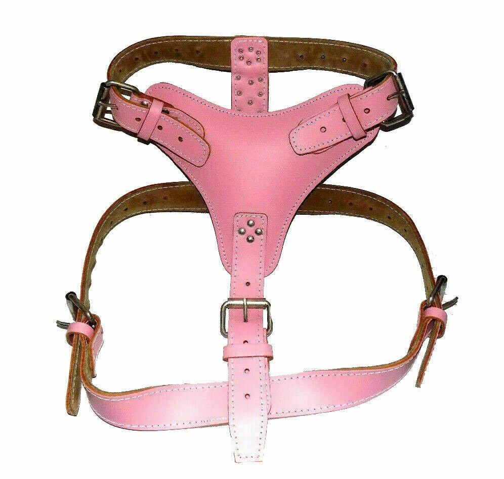 Baby Pink Extra Large Heavy Duty Plain Leather Dog Harness