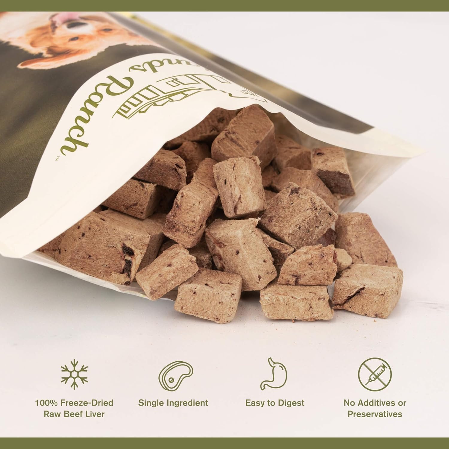 BADLANDS RANCH Superfood Bite Beef Liver Freeze-Dried Dog Treats | Protein-Rich, Single-Ingredient Reward
