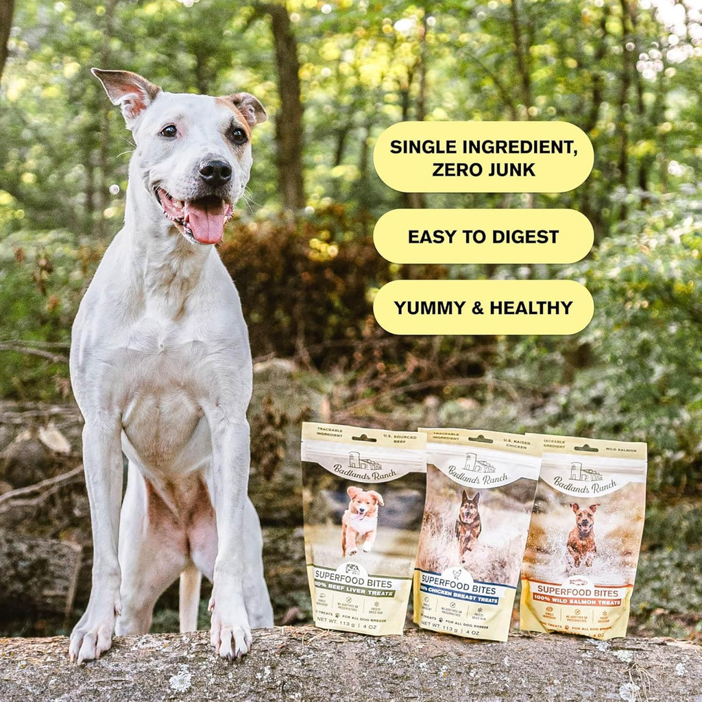 BADLANDS RANCH Superfood Bite Beef Liver Freeze-Dried Dog Treats | Protein-Rich, Single-Ingredient Reward