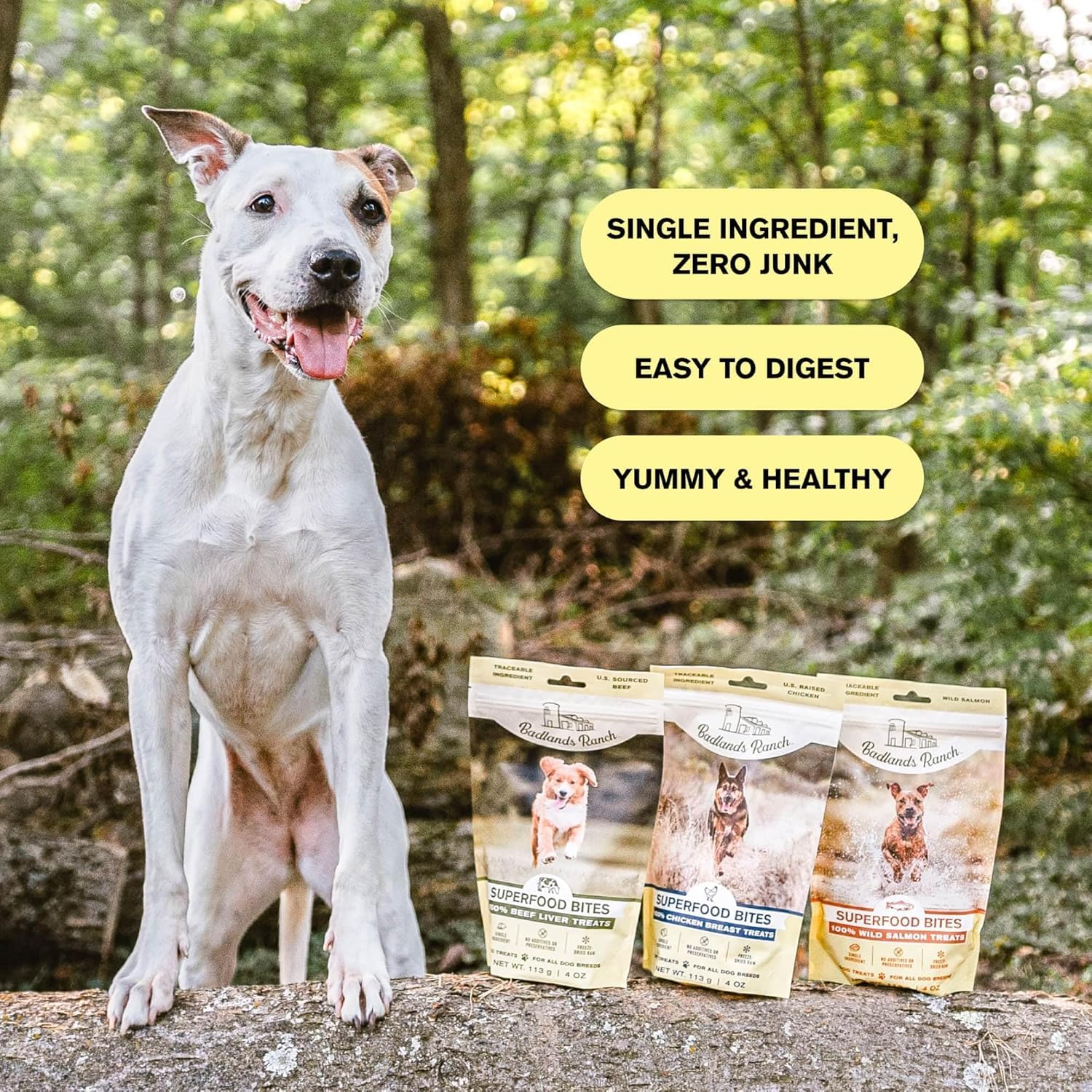 BADLANDS RANCH Superfood Bite Beef Liver Freeze-Dried Dog Treats | Protein-Rich, Single-Ingredient Reward