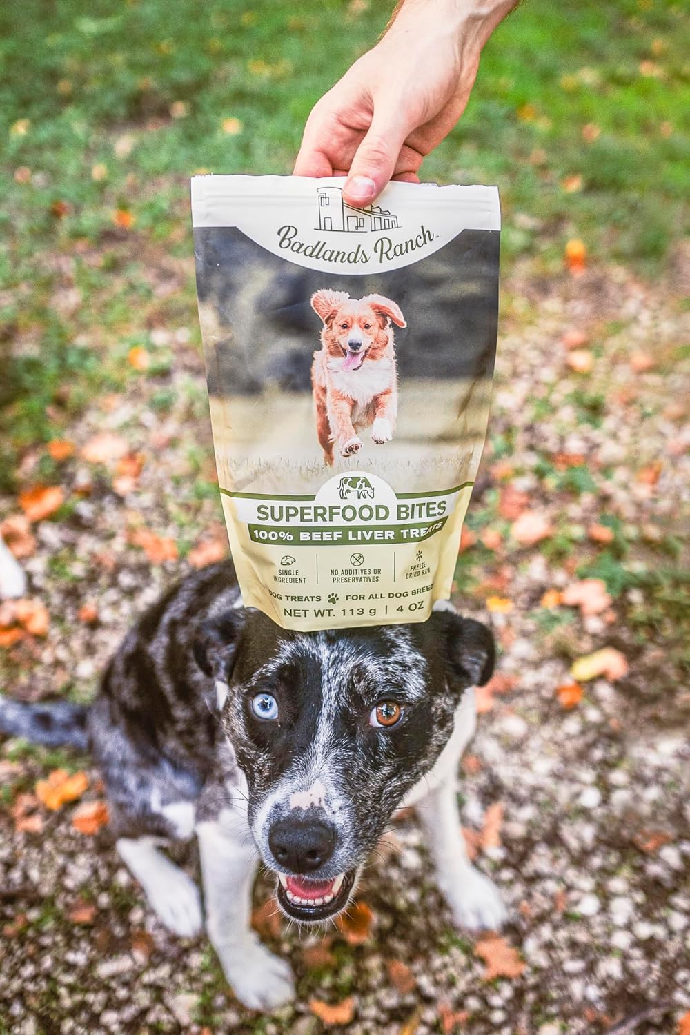 BADLANDS RANCH Superfood Bite Beef Liver Freeze-Dried Dog Treats | Protein-Rich, Single-Ingredient Reward