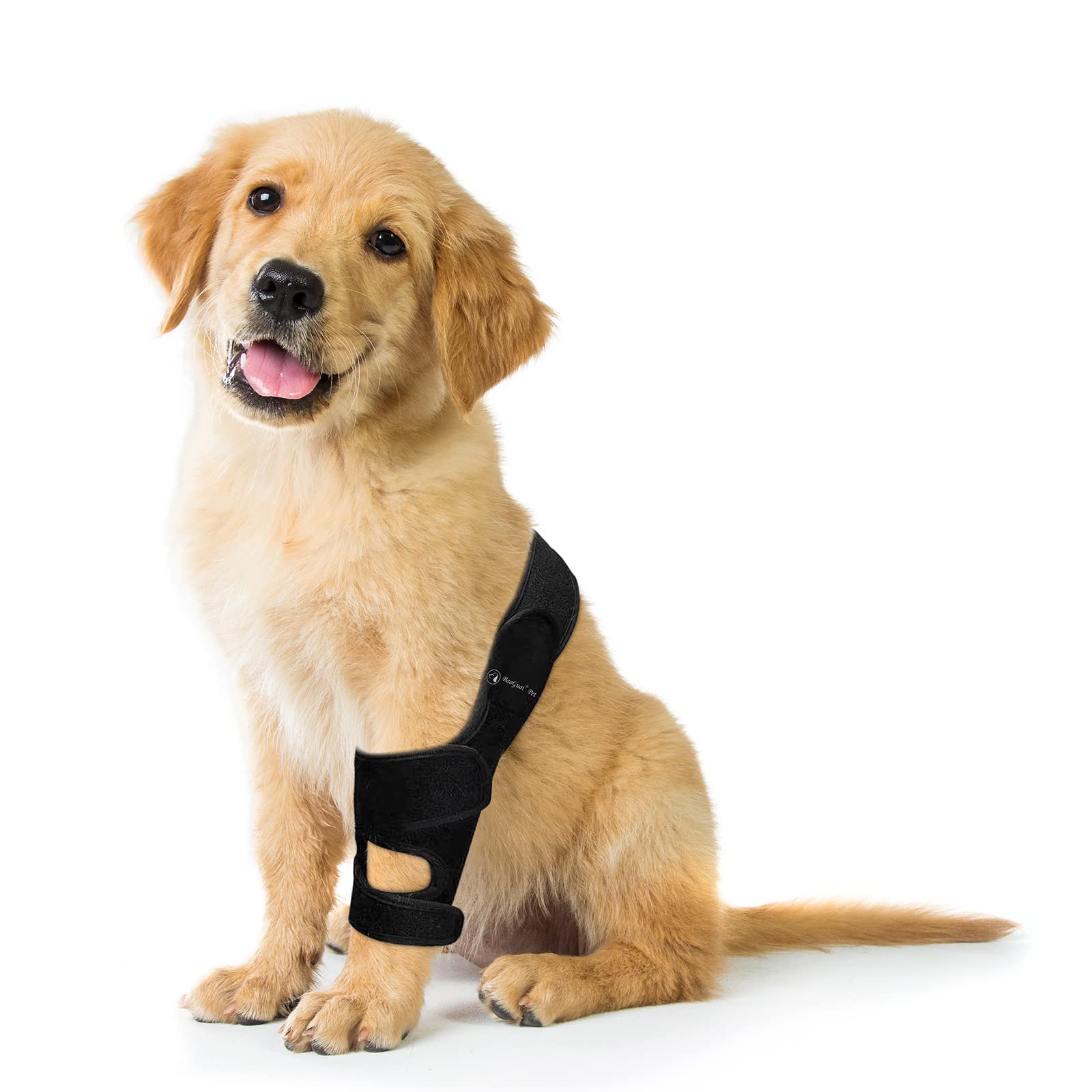 BaoGuai Knee Brace for Dogs – ACL Support with Side Stabilizers | 7 Sizes (3XL)