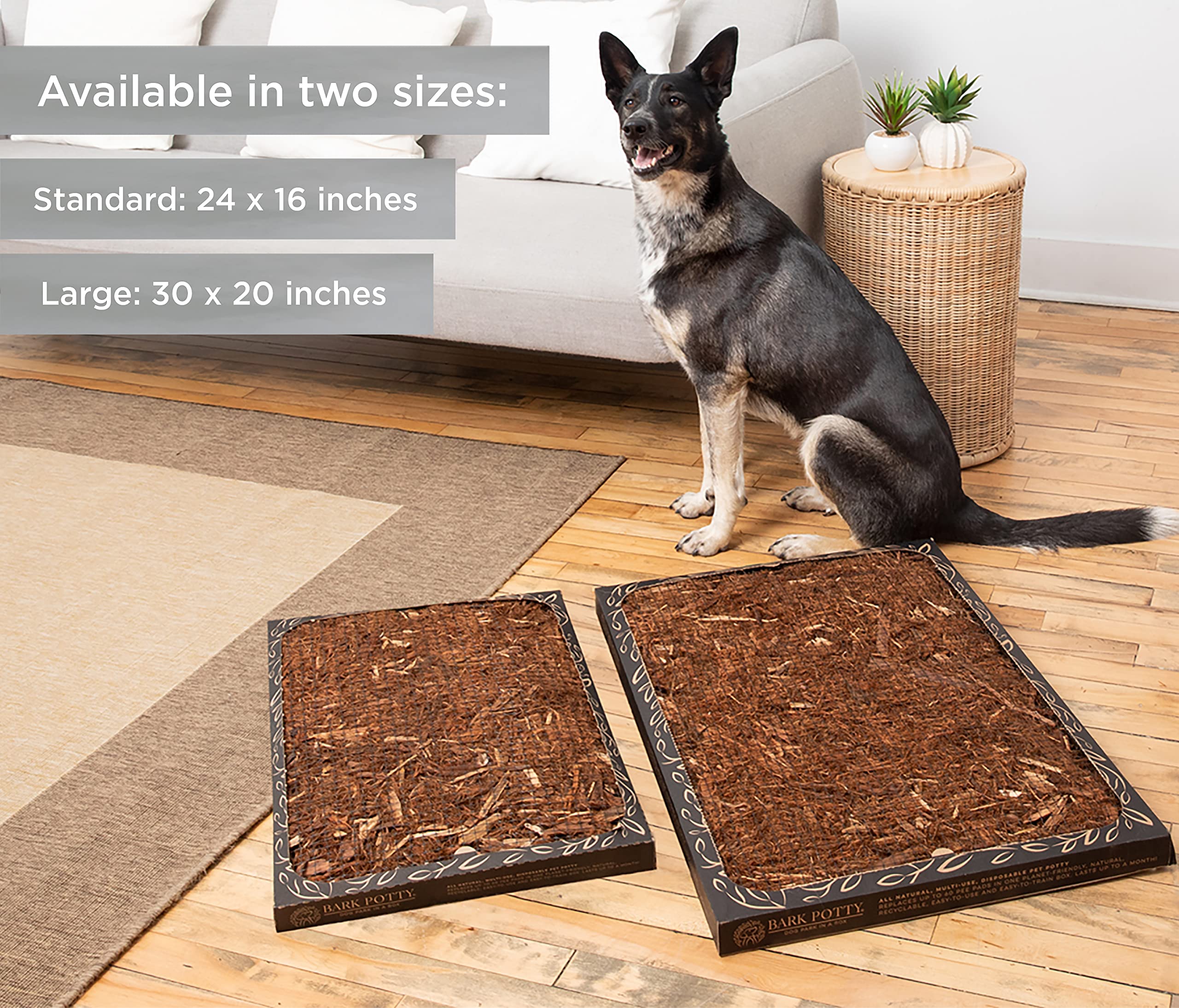 Bark Potty Large Dog Potty Training Box - Leak-Resistant, Odor Control, Indoor/Outdoor