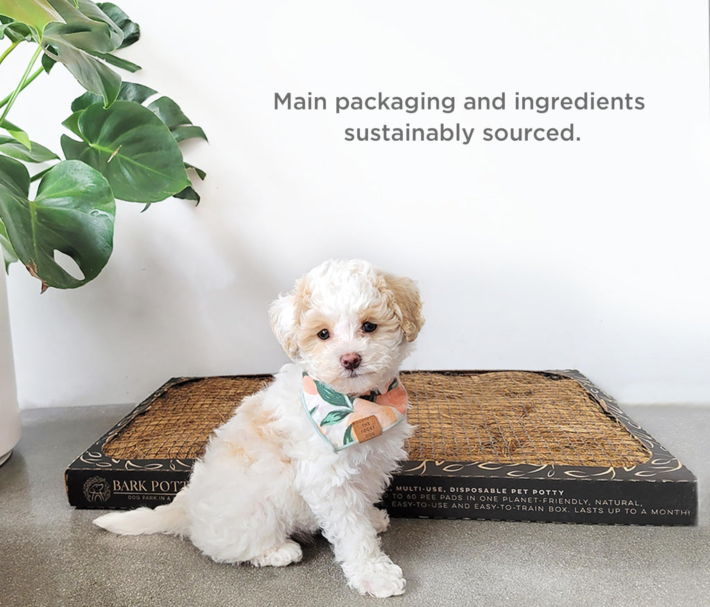Bark Potty Large Dog Potty Training Box - Leak-Resistant, Odor Control, Indoor/Outdoor