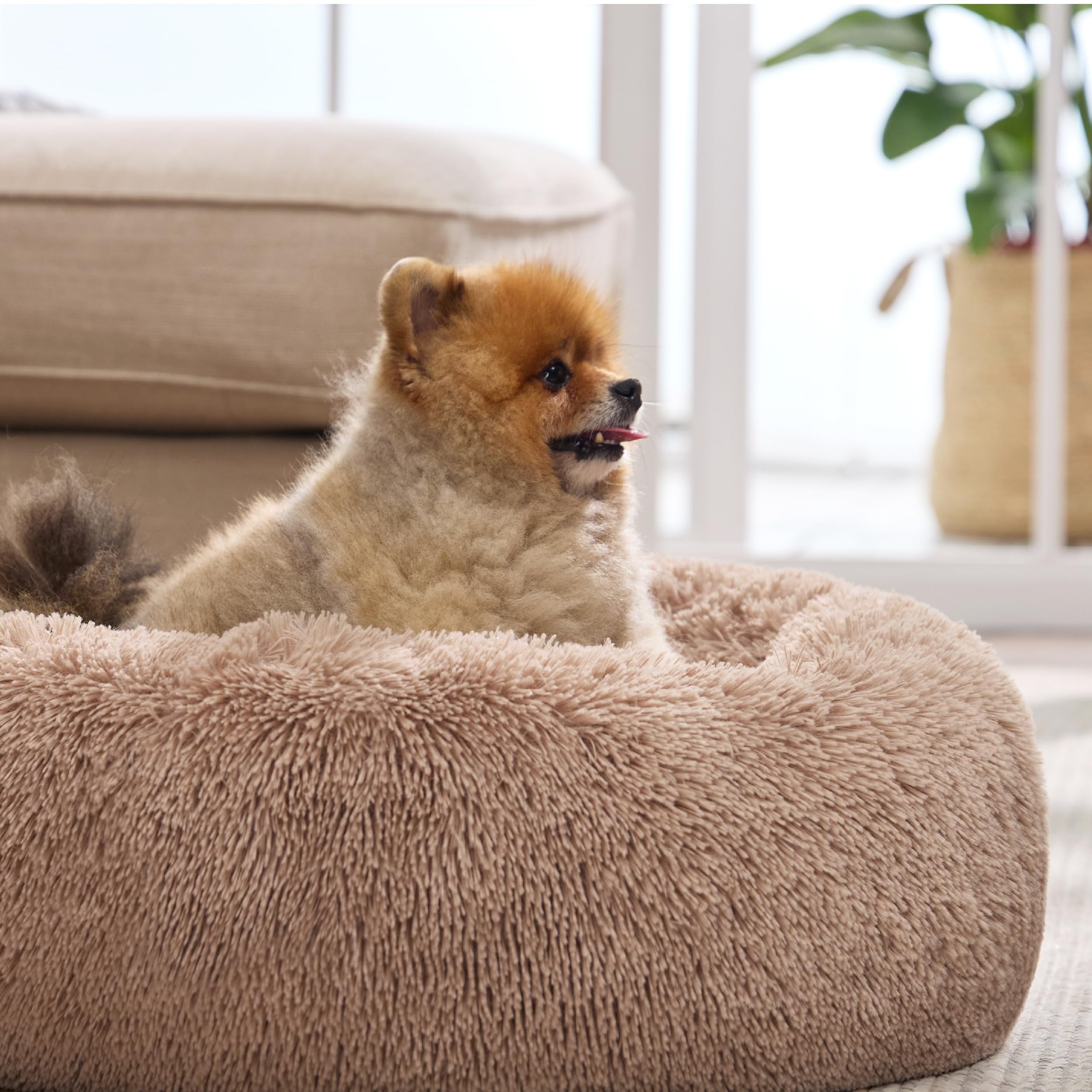 Bedsure Calming Donut Dog Bed for Small to Medium Dogs - 27-Inch Round Anti-Slip Camel