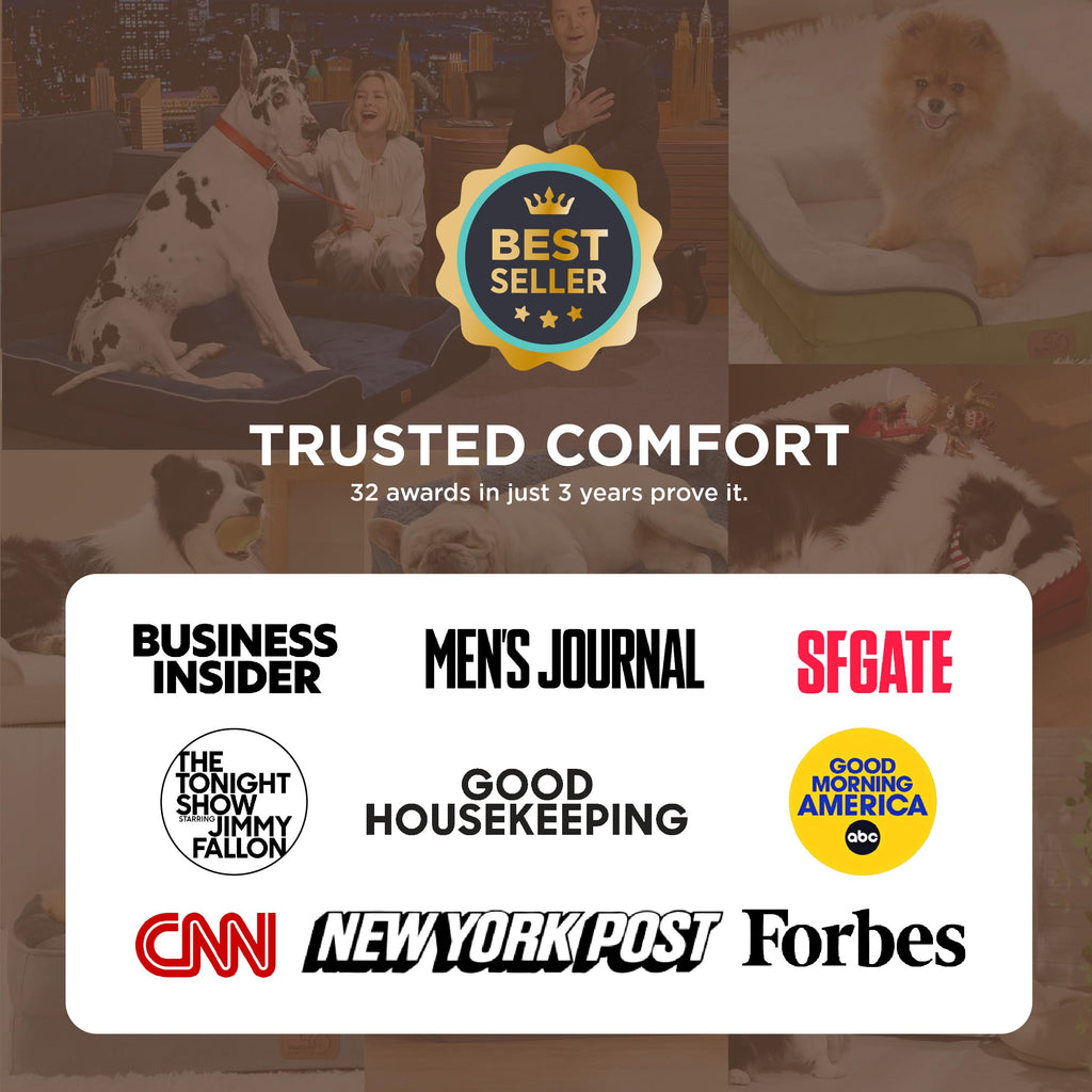 Bedsure Self-Warming Orthopedic Dog Bed - Large Waterproof Non-Skid with Removable Cover