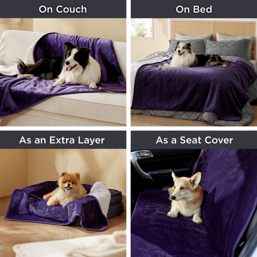 Bedsure Waterproof Blanket for Bed – Queen 90x86, Eggplant | Sherpa Fleece, Reversible, Leakproof