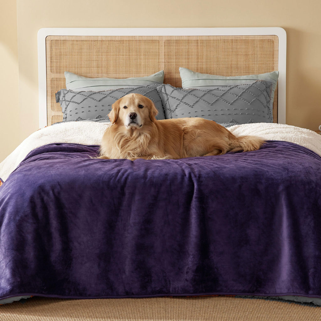 Bedsure Waterproof Blanket for Bed – Queen 90x86, Eggplant | Sherpa Fleece, Reversible, Leakproof