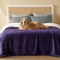 Bedsure Waterproof Blanket for Bed – Queen 90x86, Eggplant | Sherpa Fleece, Reversible, Leakproof