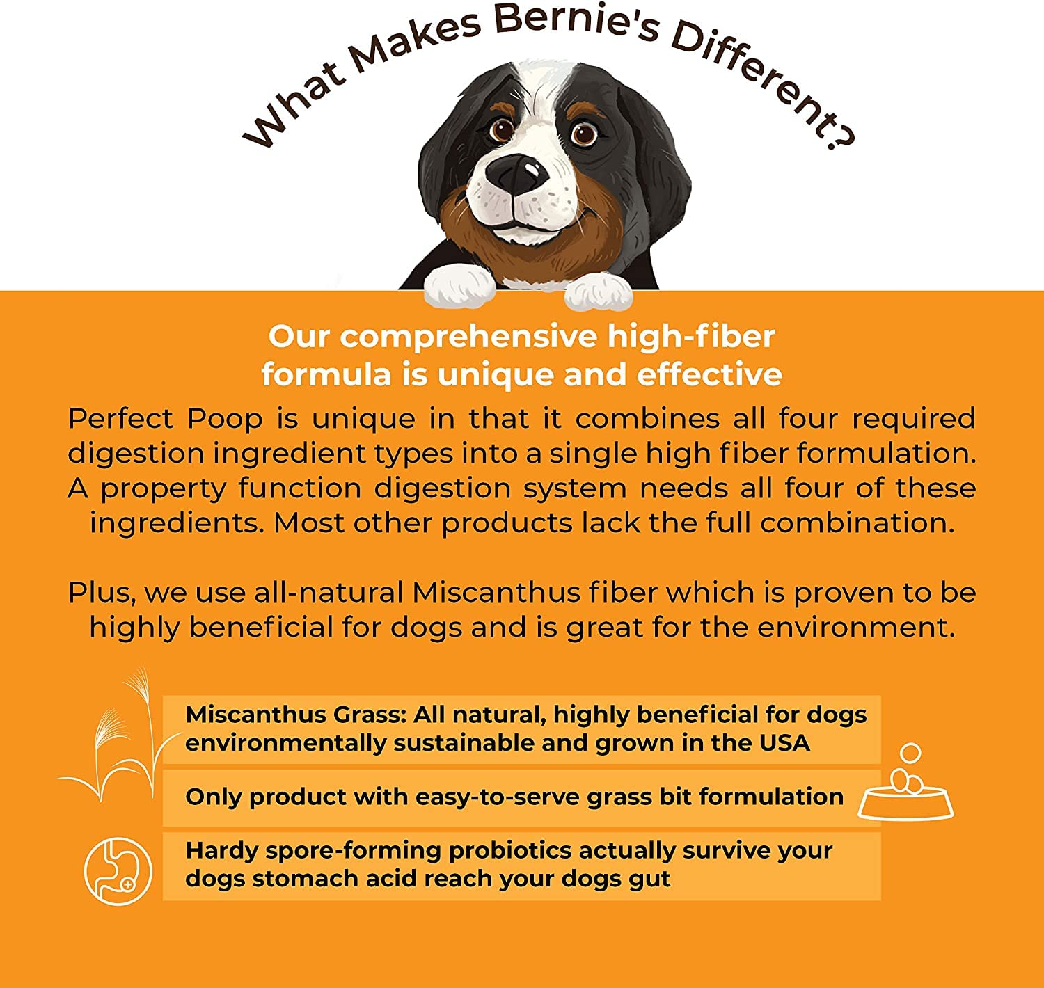 Bernie's Perfect Poop — 4 in 1 Digestive Support for Dogs (Chicken, 30 oz)