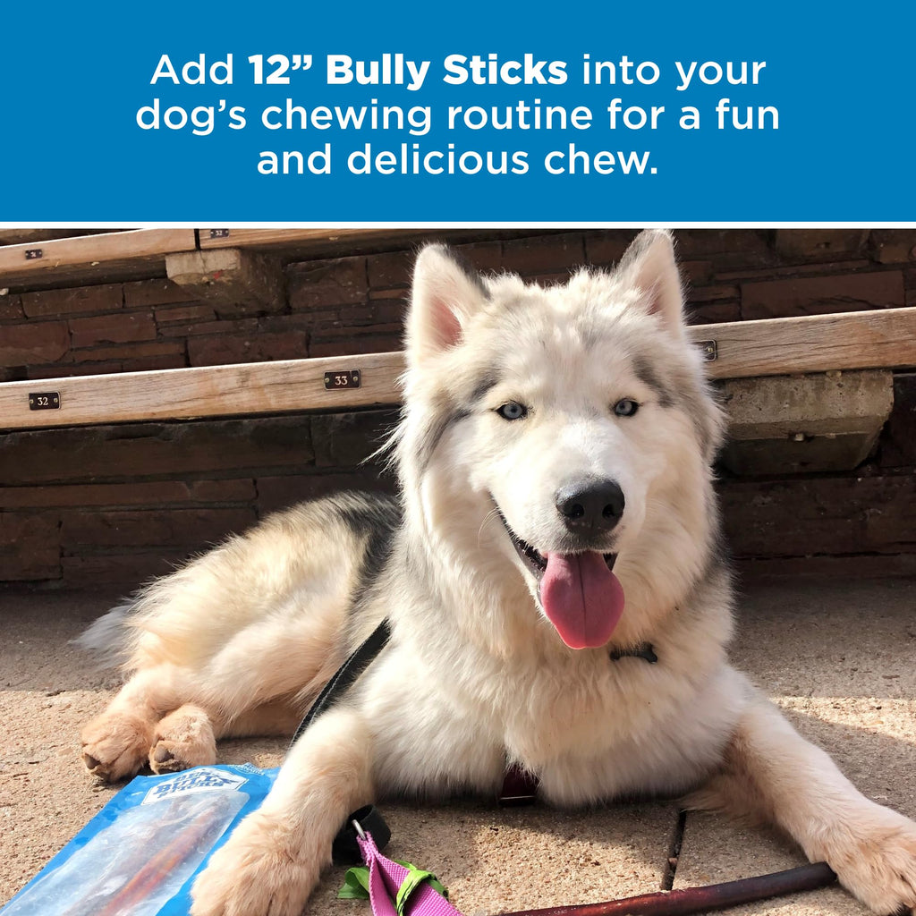 Best Bully Sticks 12-Inch Dog Chews – 25 Count, Grass-Fed, Grain-Free, Rawhide-Free