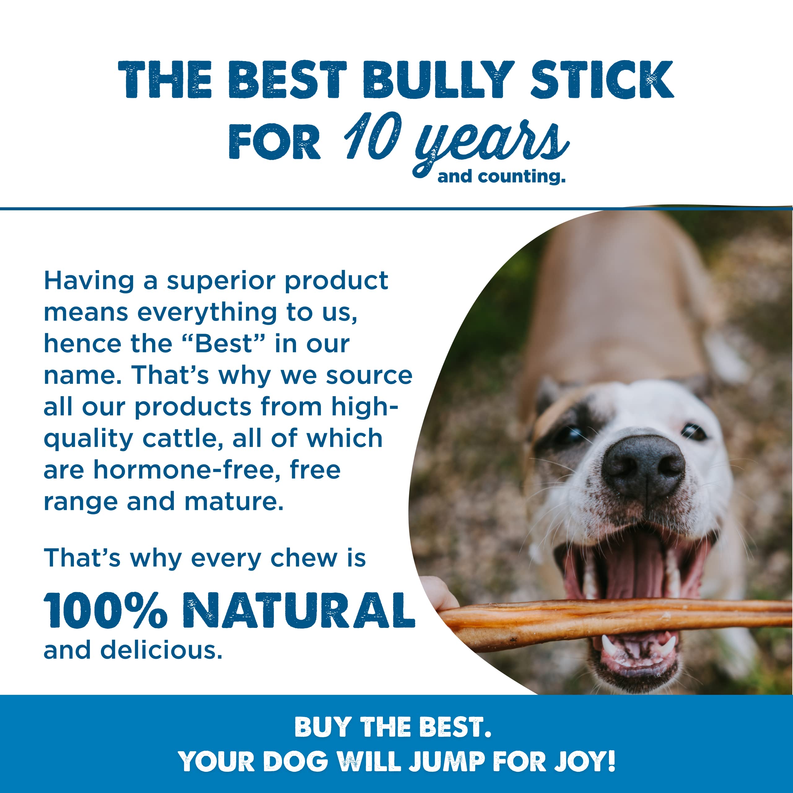 Best Bully Sticks 12-Inch Dog Chews – 25 Count, Grass-Fed, Grain-Free, Rawhide-Free