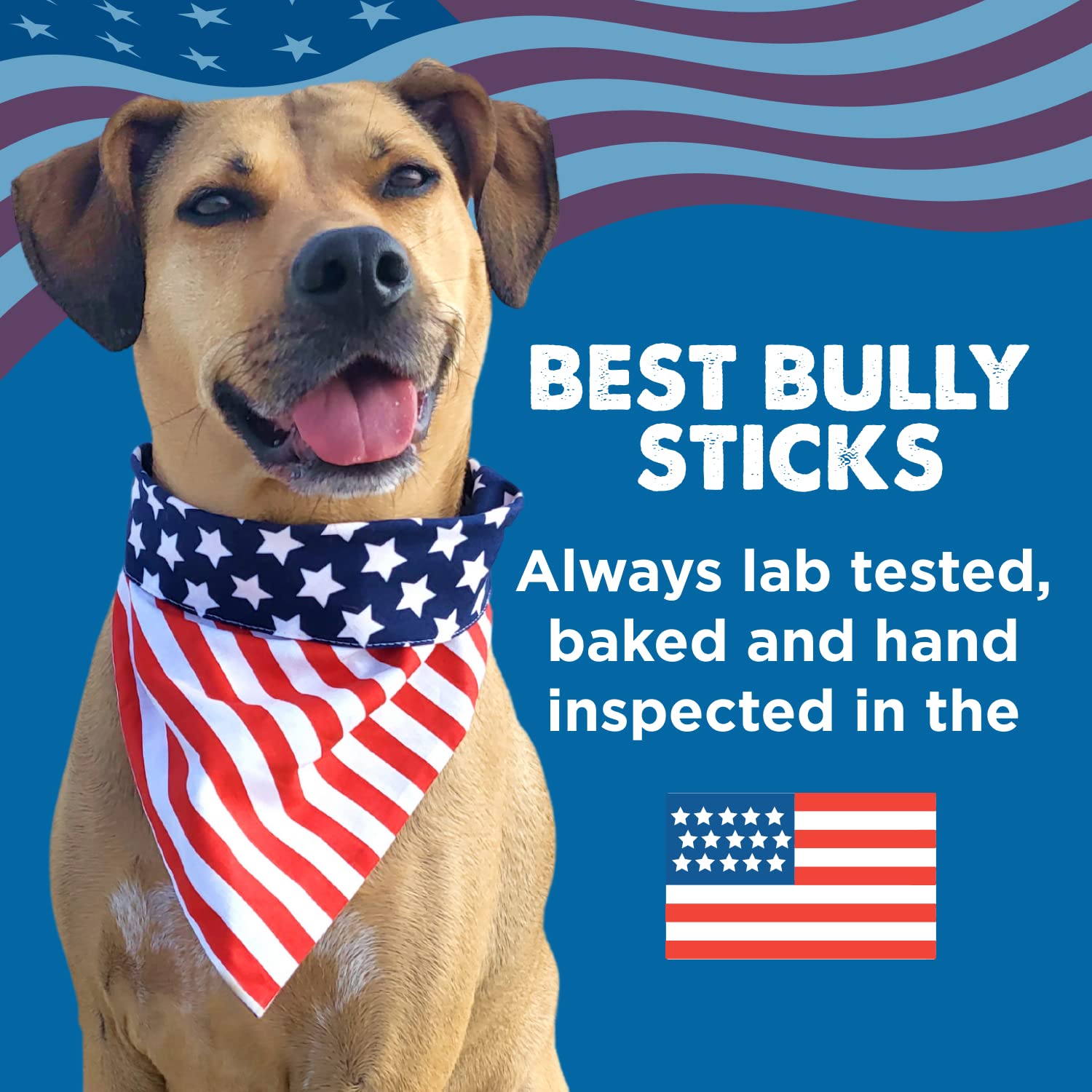 Best Bully Sticks Premium 3-Inch Beef Trachea – 50 Count, All-Natural, Grain-Free, Single-Ingredient Dog Treat