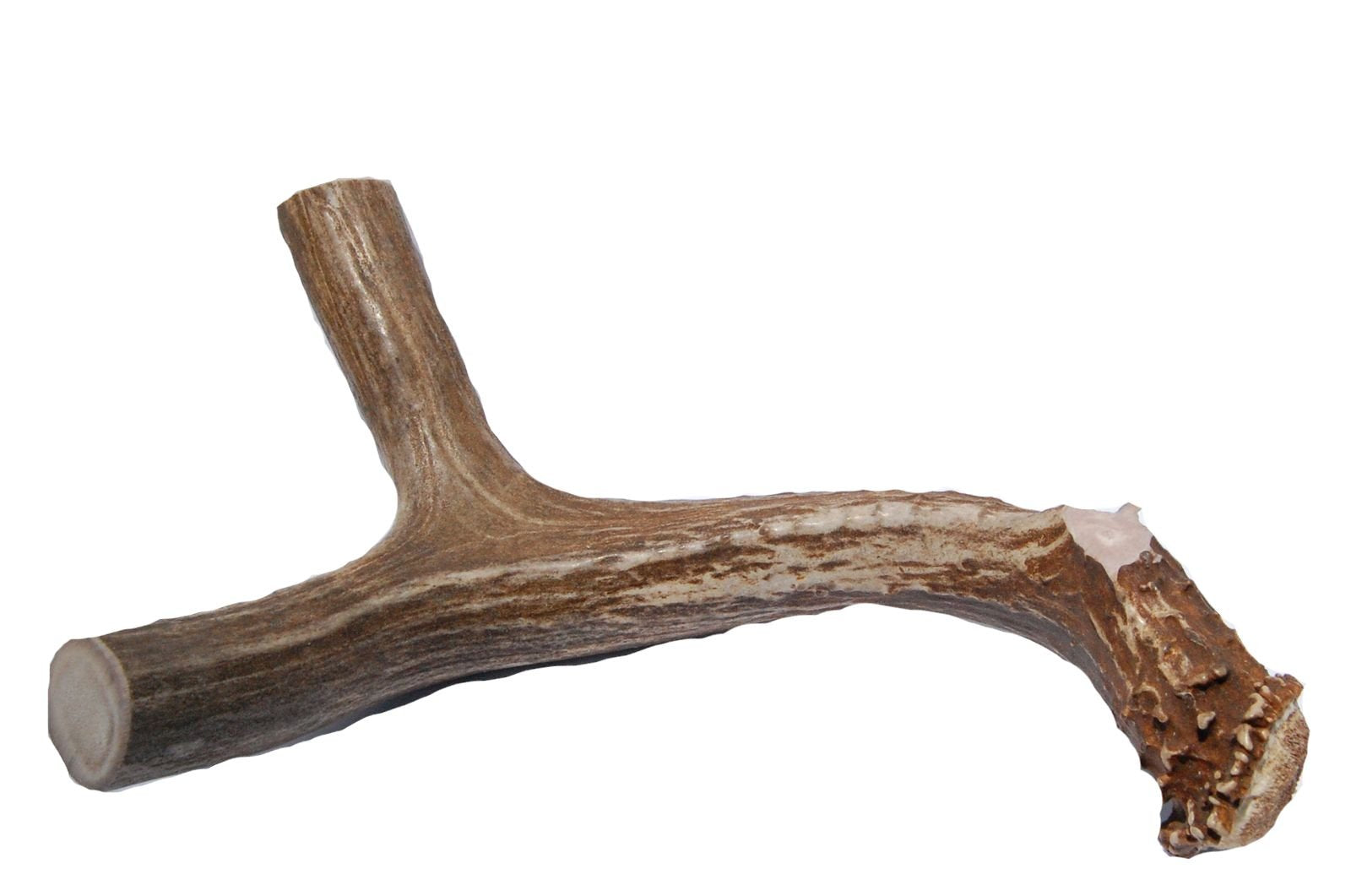 XL Deer Antler Dog Chew - Extra Large for Aggressive Chewers | Big Dog Antler Chews