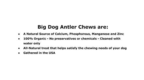 XL Deer Antler Dog Chew - Extra Large for Aggressive Chewers | Big Dog Antler Chews
