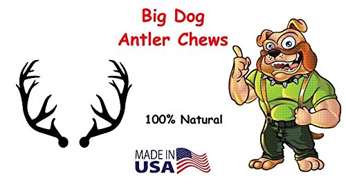 XL Deer Antler Dog Chew - Extra Large for Aggressive Chewers | Big Dog Antler Chews