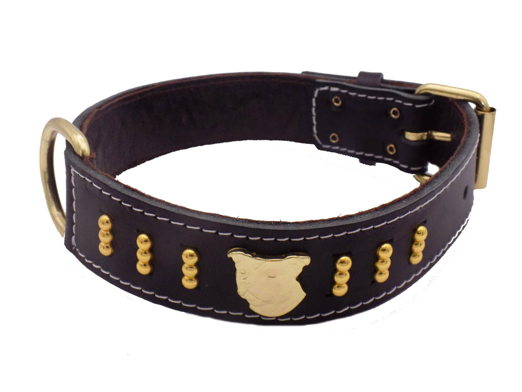 1.5" wide Staffy Leather Dog Collar with Gold Unique Decorative Design and Staffordshire Bull Terrier Badge