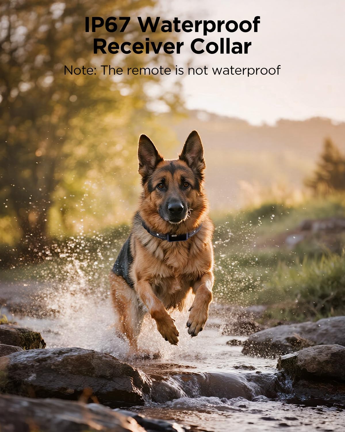 BLACKDOG Military Dog Shock Collar – 4200ft Range, 4 Modes, IP67 Waterproof