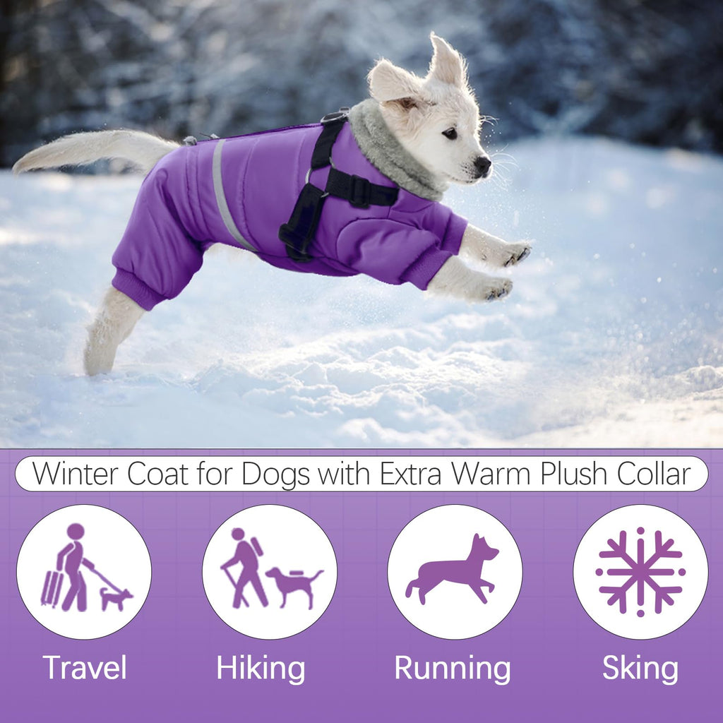 BRKURLEG Purple Dog Coat with Harness | Winter Jacket for Small Dogs, Reflective, Waterproof
