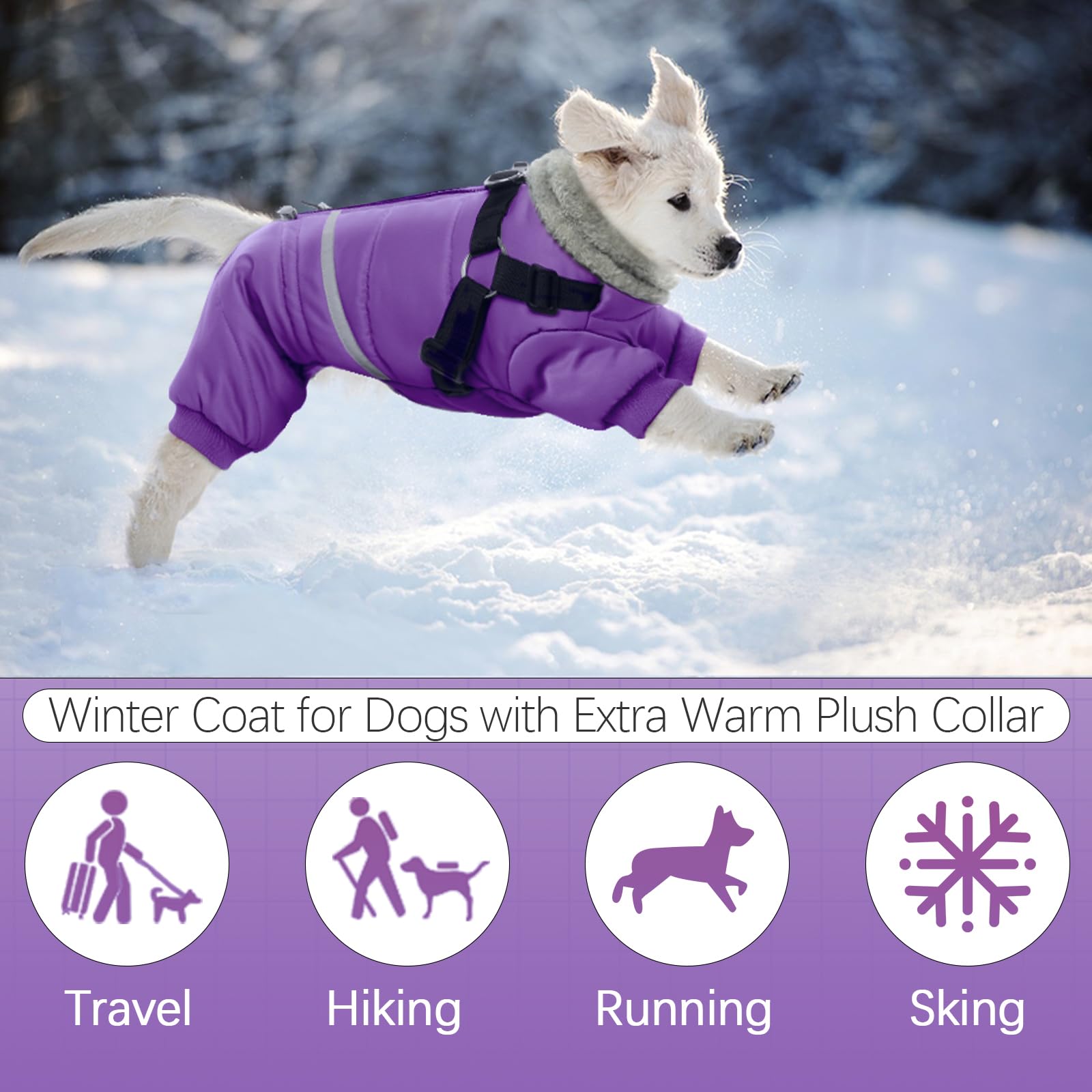 BRKURLEG Purple Dog Coat with Harness | Winter Jacket for Small Dogs, Reflective, Waterproof
