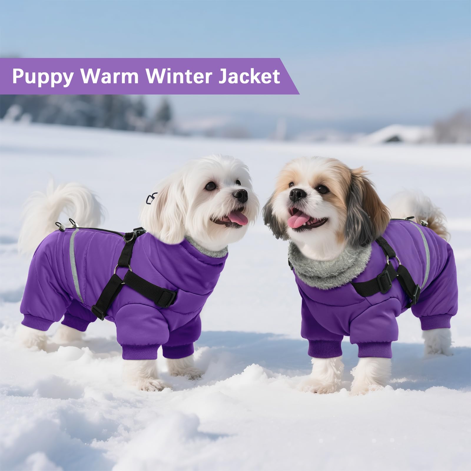 BRKURLEG Purple Dog Coat with Harness | Winter Jacket for Small Dogs, Reflective, Waterproof