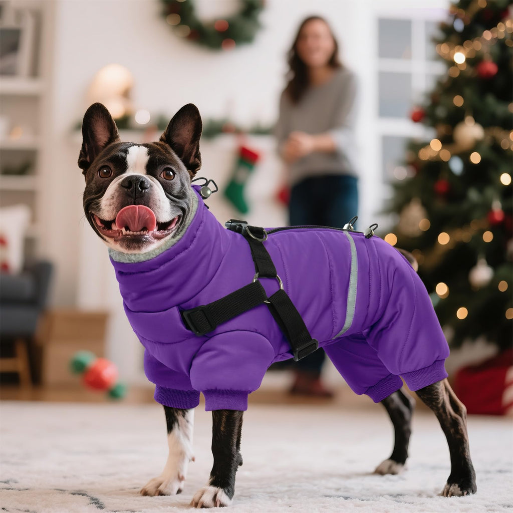 BRKURLEG Purple Dog Coat with Harness | Winter Jacket for Small Dogs, Reflective, Waterproof