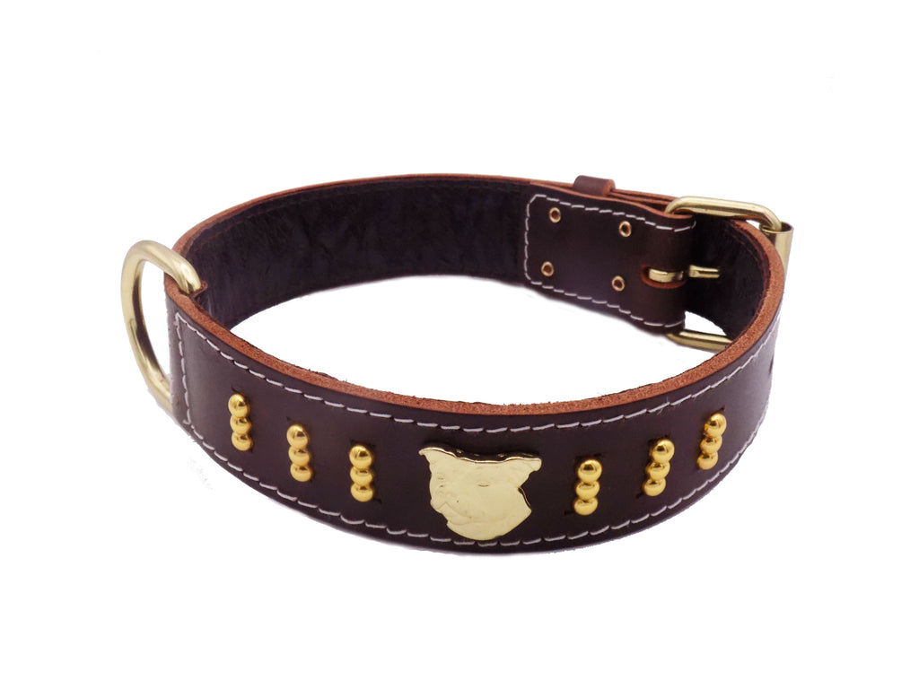 1.5" wide Staffy Leather Dog Collar with Gold Unique Decorative Design and Staffordshire Bull Terrier Badge