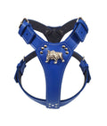 Royal Blue Large Leather Dog Harness with English Bulldog Badge