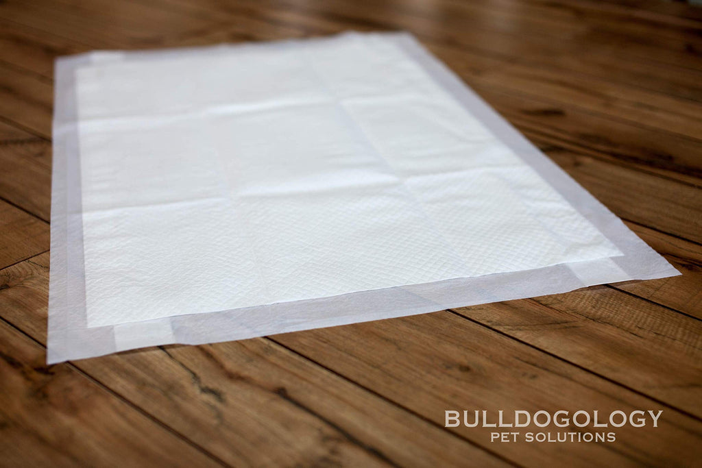 Bulldogology Puppy Pee Pads XL 24x35 - 60 Count, 6-Layer, Adhesive Tape, Quick-Dry Bullsorbent Tech