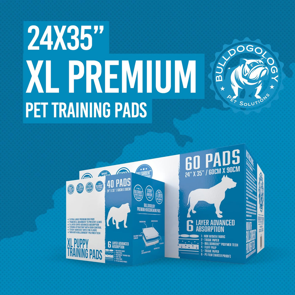 Bulldogology Puppy Pee Pads XL 24x35 - 60 Count, 6-Layer, Adhesive Tape, Quick-Dry Bullsorbent Tech