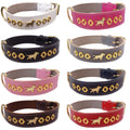 1.5" wide Leather Dog Collar with Decorative Gold Design and English Bull Terrier Badges