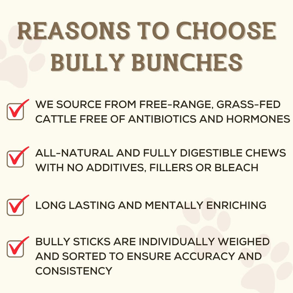 Bully Bunches Premium 6-Inch Odor-Free Bully Sticks for Small & Medium Dogs | Rawhide-Free, Single-Ingredient 100% Beef (10 Pack)
