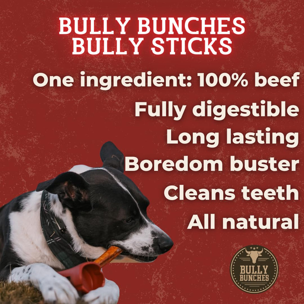 Bully Bunches Premium 6-Inch Odor-Free Bully Sticks for Small & Medium Dogs | Rawhide-Free, Single-Ingredient 100% Beef (10 Pack)