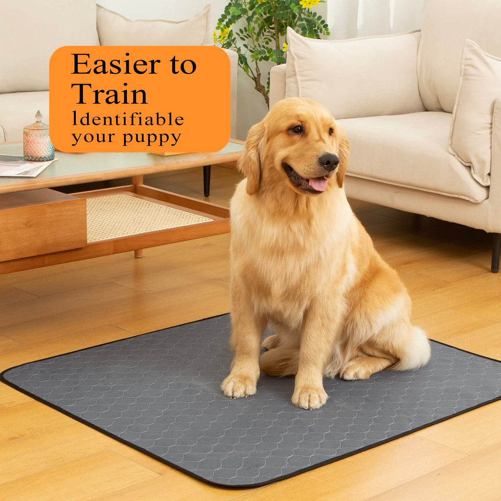 Bunlitent Washable Dog Pee Pads 41x41 – 5 Pack, Quick-Dry, Anti-Slip, Reusable