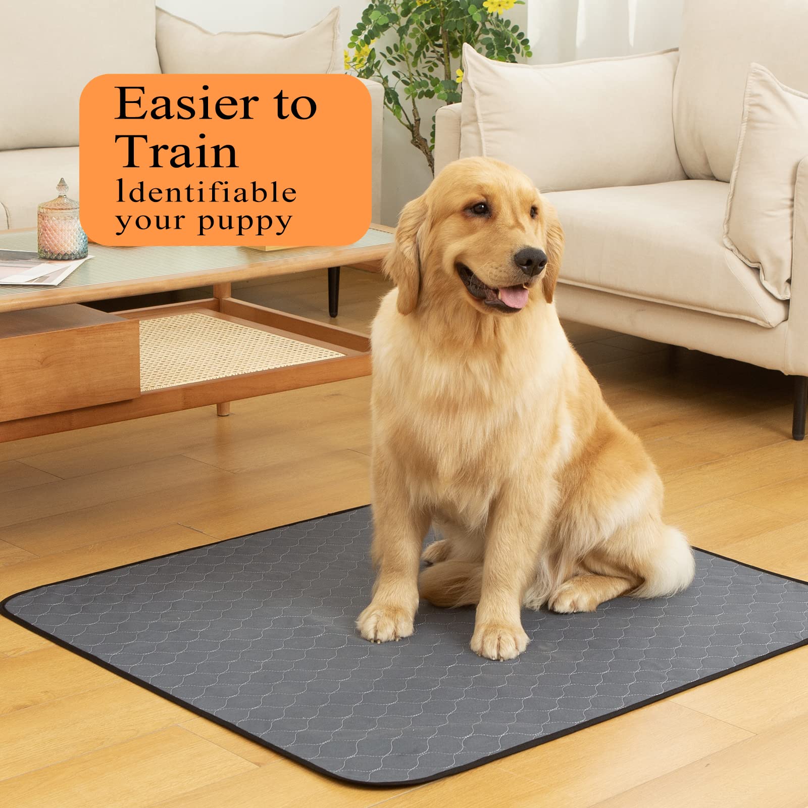 Bunlitent Washable Dog Pee Pads 41x41 – 5 Pack, Quick-Dry, Anti-Slip, Reusable
