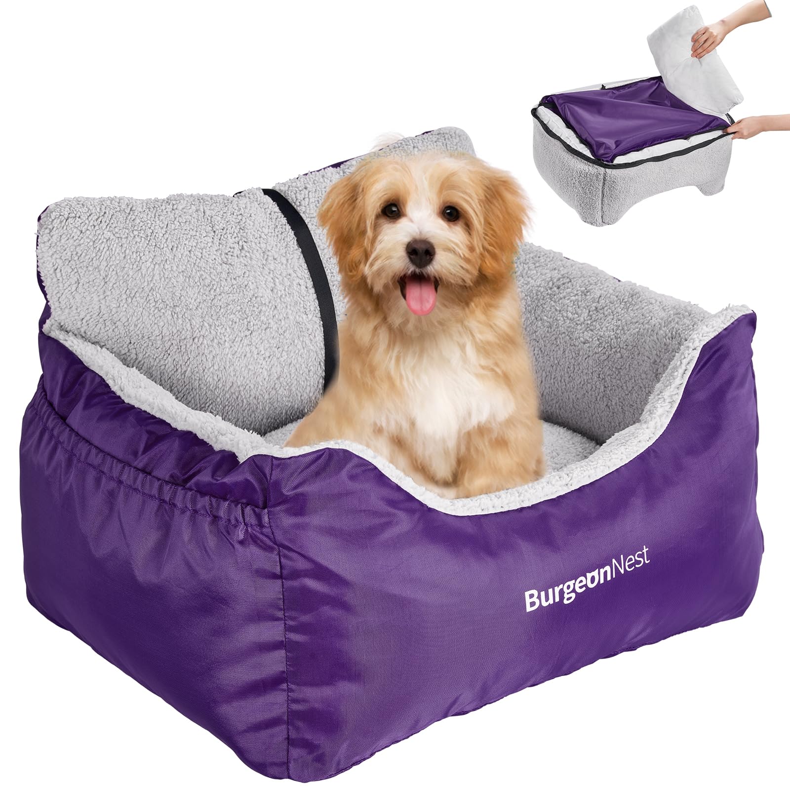 BurgeonNest Dog Car Seat for Small Dogs — Detachable, Washable, Under 25 lbs, Purple