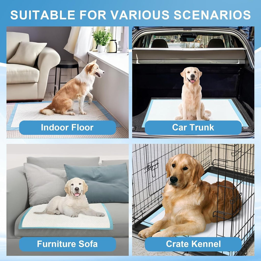 CAHUDIKIC Puppy Pads Extra Large 36x51 - 100 Count, Ultra Absorbent & Leak-Proof