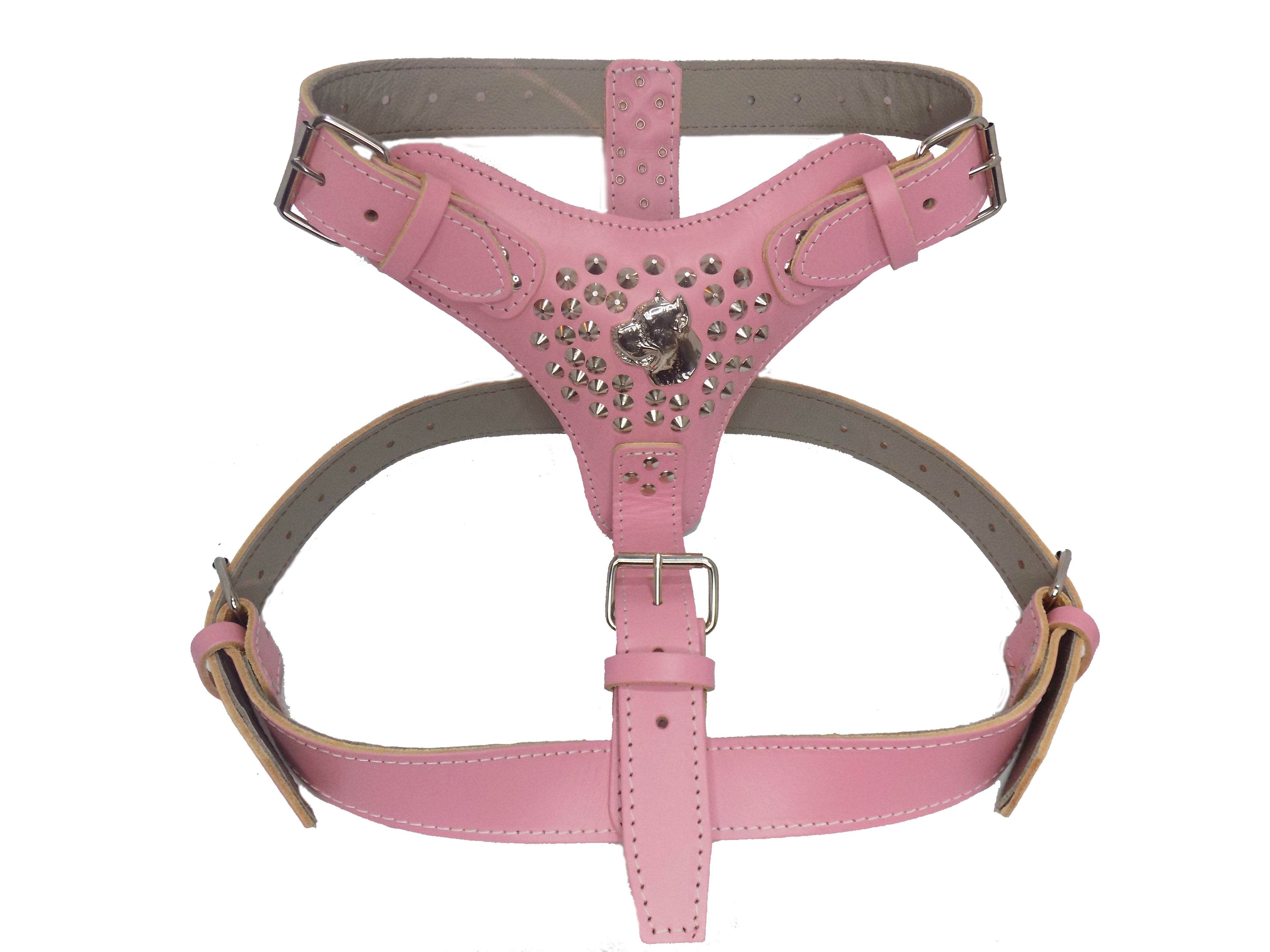 Extra Large Heavy Duty Leather Dog Harness with Cane Corso and Studded Design